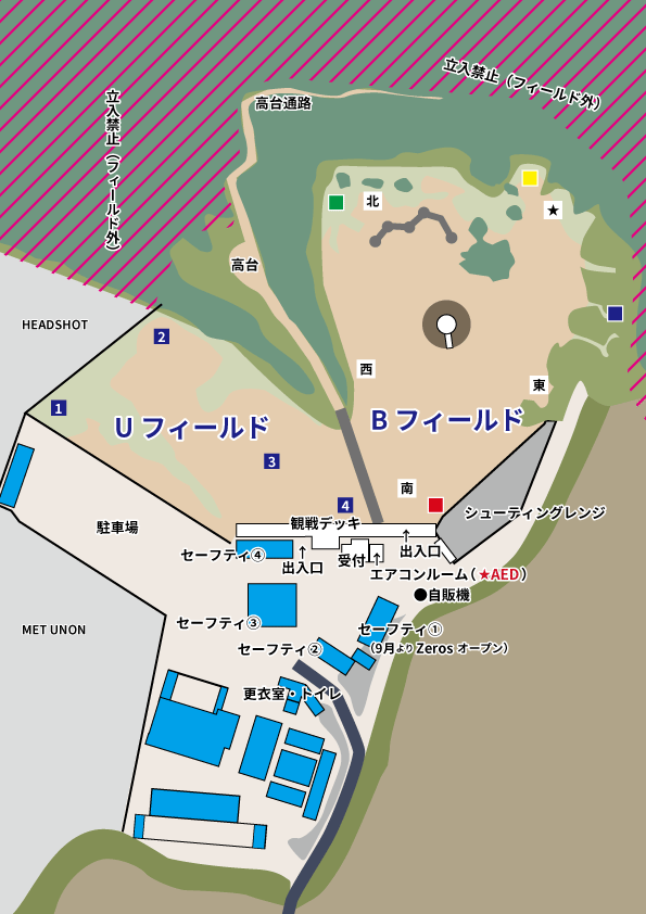 フィールド全景
